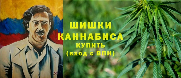 молекула духа Балахна