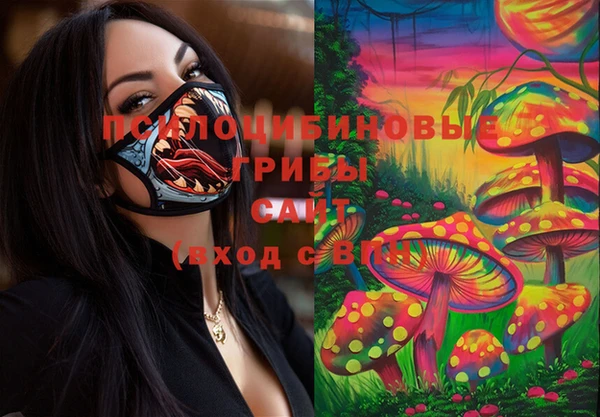 молекула духа Балахна